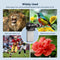 APEXEL 2-in-1 HD 6X Fixed Focus Telephoto Lens with 150mm Macro Lens with Universal Clip, Professional Phone Lens Kit