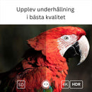 Google Certified TV Stick 4K HDR Android TV 14 WiFi Play Store support for Netflix, YouTube, Disney+
