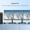 NÖRDIC Displayport splitter 1 to 3 8k30Hz 4K120Hz MST