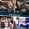 NÖRDIC Industrial endoscope camera 4.3" screen with 8 LED lights, cable 5m 8mm, IP67 Waterproof camera